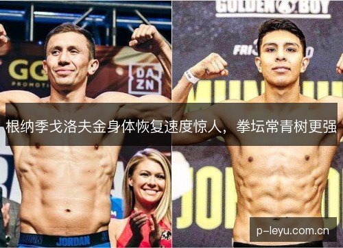 根纳季戈洛夫金身体恢复速度惊人,拳坛常青树更强 根纳季戈洛夫金身体恢复速度惊人,拳坛常青树更强