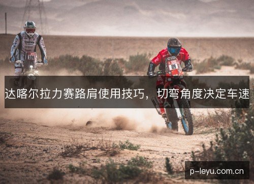 达喀尔拉力赛路肩使用技巧，切弯角度决定车速